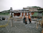 ｜イヌイット族の鮭の干物を作る為の乾燥ラック