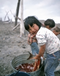 ｜干物を作る作業を手伝うイヌイット族の子供
