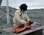 ｜干物を作る為に鮭をさばくイヌイット族の女性