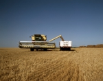 ｜ネブラスカ州西部の小麦の収穫