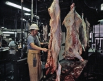 ｜オマハ家畜市場の食肉処理場