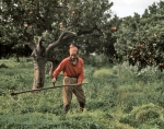 ｜スキクダ近くのオレンジ農園で草刈をする農夫