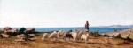 BORRANI Odoardo ｜カスティリオンチェルロの羊の放牧