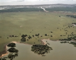 ｜サンタレン北西の湿地沿いを流れるアマゾン川と畜産農場