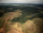 ｜マカパ近くの森林伐採された農地