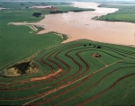 ｜パラナパネマ川と小麦農場
