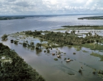 ｜マナウス近くを流れるネグロ川とアマゾン川