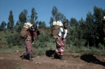 ｜ブカヴ近くの村へトウモロコシを売りに行く女性たち
