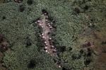 ｜ゴマ郊外のバナナ農園に囲まれた村