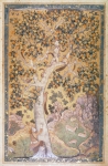 ｜スズカケの木のリス