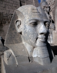 ｜ルクソール神殿の大塔門前のラムセス2世頭部