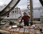 ｜サントロペで鮮魚をうる漁師