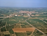 ｜ペルピニャン近郊の葡萄畑