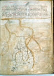 ｜ヴェネツィアを書いた最古の地図のひとつ