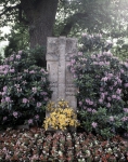 ｜ワーグナー家の墓