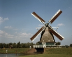 ｜アムステルダム郊外の風車のある風景