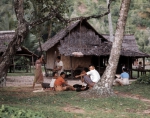 ｜パダンのテルク・バユール村で米を精米している村人