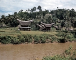 ｜ランテパオ近くのトラジャ族の伝統家屋とサダン川