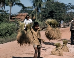 ｜収穫した米の束を運ぶ少年