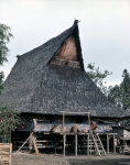 ｜バタック族の伝統家屋