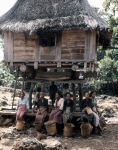 ｜ラウライ村のファタルク族の伝統家屋