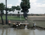 ｜畑に水を注入する農家の人々