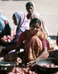 ｜デカン高原の玉葱の卸し市場で働く少女