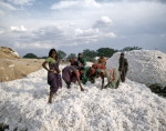 ｜ソーラープルの綿工場で働く女性たち