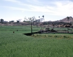 ｜アラヴァリ山地のとある牛力で水を汲み上げる灌漑方法