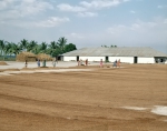 ｜バドラクにある精米工場で玄米を乾燥させている場面