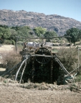 ｜アブー山近くにある牛力で水を汲み上げる灌漑方法