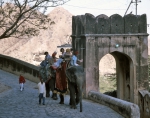 ｜象のタクシーでアンベール城へ進む観光客