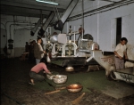 ｜工場で茶葉を発酵する作業
