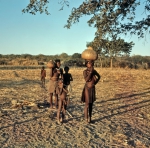 ｜水飲み場へ向かうガンボ族の家族