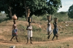 ｜汲んだ水を頭に乗せる農民
