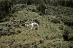 ｜リベリア北部の森の中の集落