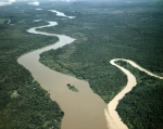 ｜テロック・インタン近くを流れるペラ川とジャングル