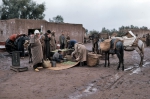 ｜マラケシュ近郊の小さな村でオリーヴを売る商人