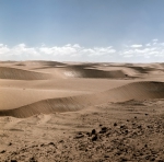 ｜ナミブ砂漠