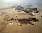 ｜イカ南西部の砂漠地帯にあるパイロット・ファーム