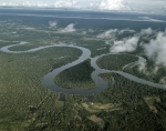 ｜イキトス西部の熱帯雨林とナナイ川