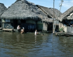 ｜アマゾン川のベレン地区で生活する人々