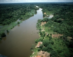 ｜イキトス近くのアマゾン川の支流沿いの住居
