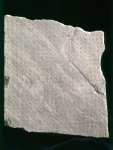 ｜ストア学派の碑文で刻まれたアテネの法令文の断片