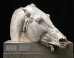 ｜セレネ（月の女神）の馬