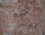 ｜ドンボシャワ山脈のヌゴモ・カレラの岩山の中にあるブッシュマン（サン人）の岩面画