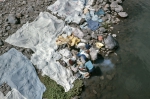 ｜サン＝ドニ川で洗濯をする人々