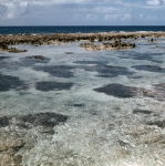 ｜ロタ島のサンゴ礁