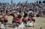 ｜ンゴニ族による伝統舞踊