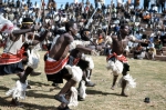 ｜ンゴニ族による伝統舞踊